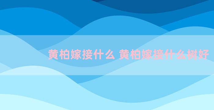 黄柏嫁接什么 黄柏嫁接什么树好